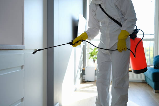 Best Industrial Mold Remediation in Atlanta, GA